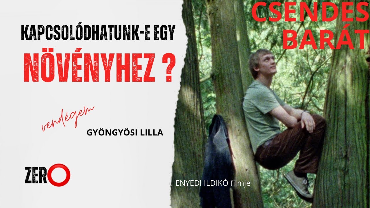 Csendes bar&aacute;t filmaj&aacute;nl&oacute; | Gy&ouml;ngy&ouml;si Lilla