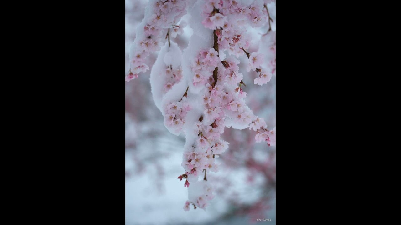 Vallis Alps - Young (Slowed)