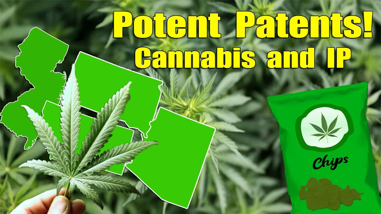 Cannabis and Innovation - Potent Patents!