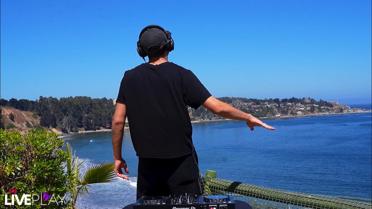 skywalking vibes organic house mix