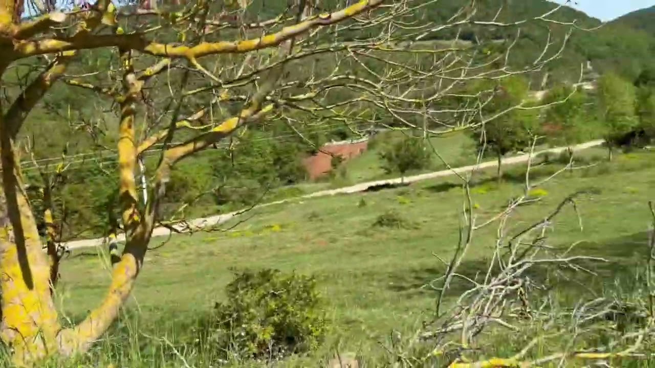 Kocaeli k&ouml;rfez sevindikli mah kutluca k&ouml;y&uuml;nde satılık %5 imarlı arsa