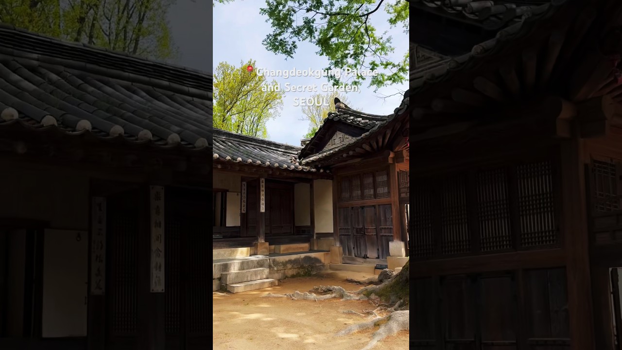 🇰🇷Changdeokgung Palace and SecretGarden #mustsee #seoul #palace #seoulmysoul #travel #traveladdict