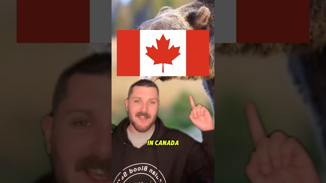 Number 5 is definitely the worst&middot;#Canada #Canadian #Jokes #Funny