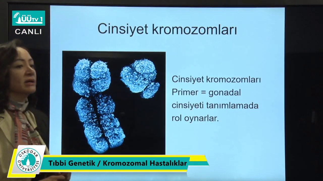 TIP Fakültesinde Uzaktan Eğitim Dersleri - Tıbbi Genetik -   Kromozomal Hastalıklar