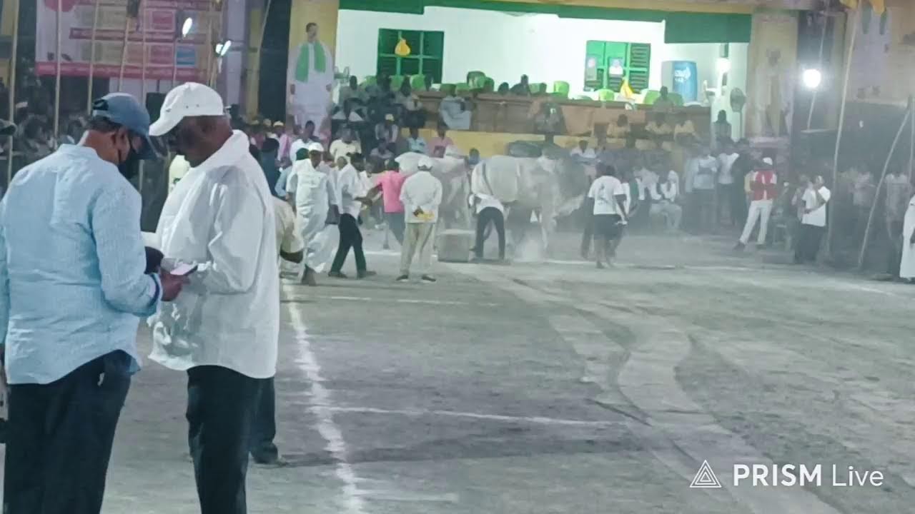 మహానంది న్యూ క్యాటగిరి విభాగంలో 12