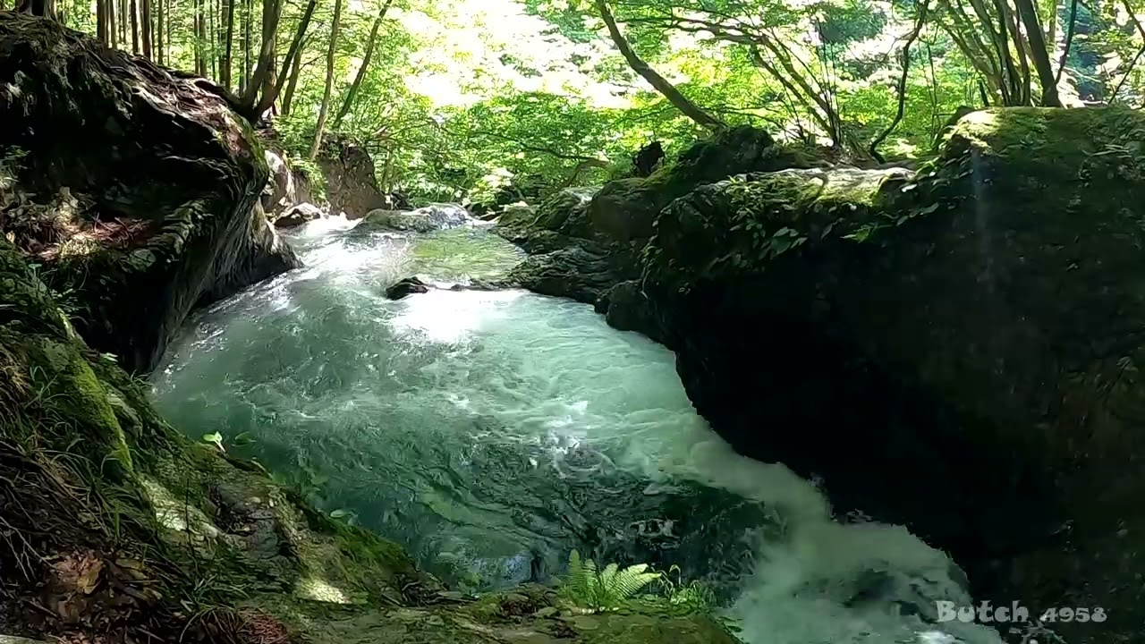 【525.1-23】【三ツ釜の滝 上流滝 梅沢四滝】【東京都 奥多摩町】 【ブッチの3分タッキング】【202306】【1080ｐ60fps】【Japan waterfalls】