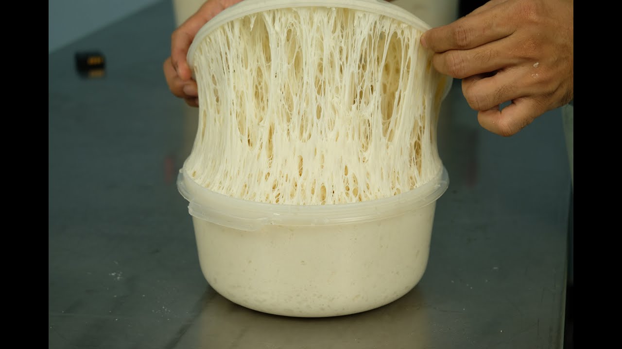 LÀM MEN SOURDOUGH KHÔNG KHÓ, Khi hết men phải làm sao ...? Men bánh mì