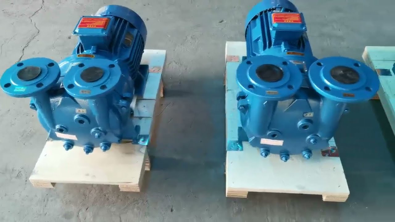 SHENGHUI Supplier 2BV Series Water Ring Vacuum Pump