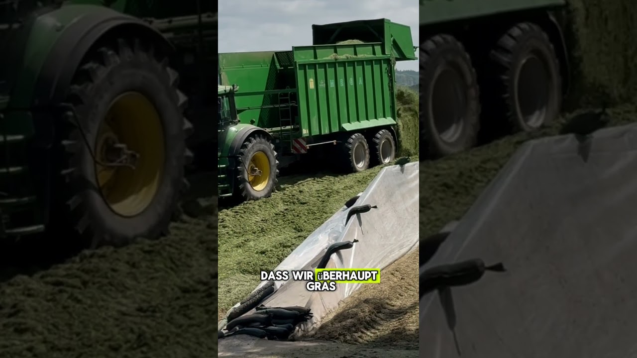 Zum ersten Mal H&auml;ckselballen &ndash; Erntearbeit auf dem Hof