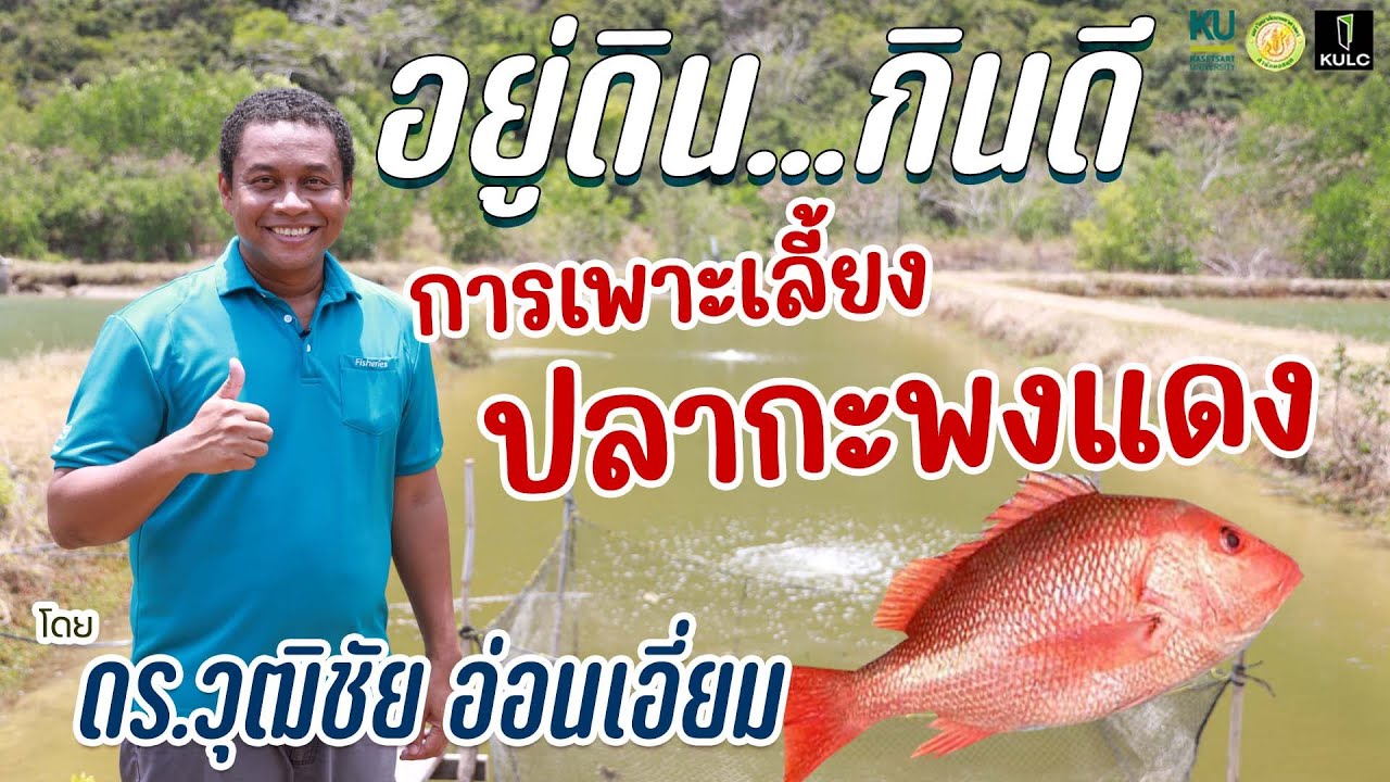 อยู่ดินกินดี | การพัฒนาศักยภาพการเพาะเลี้ยงปลากะพงแดง
