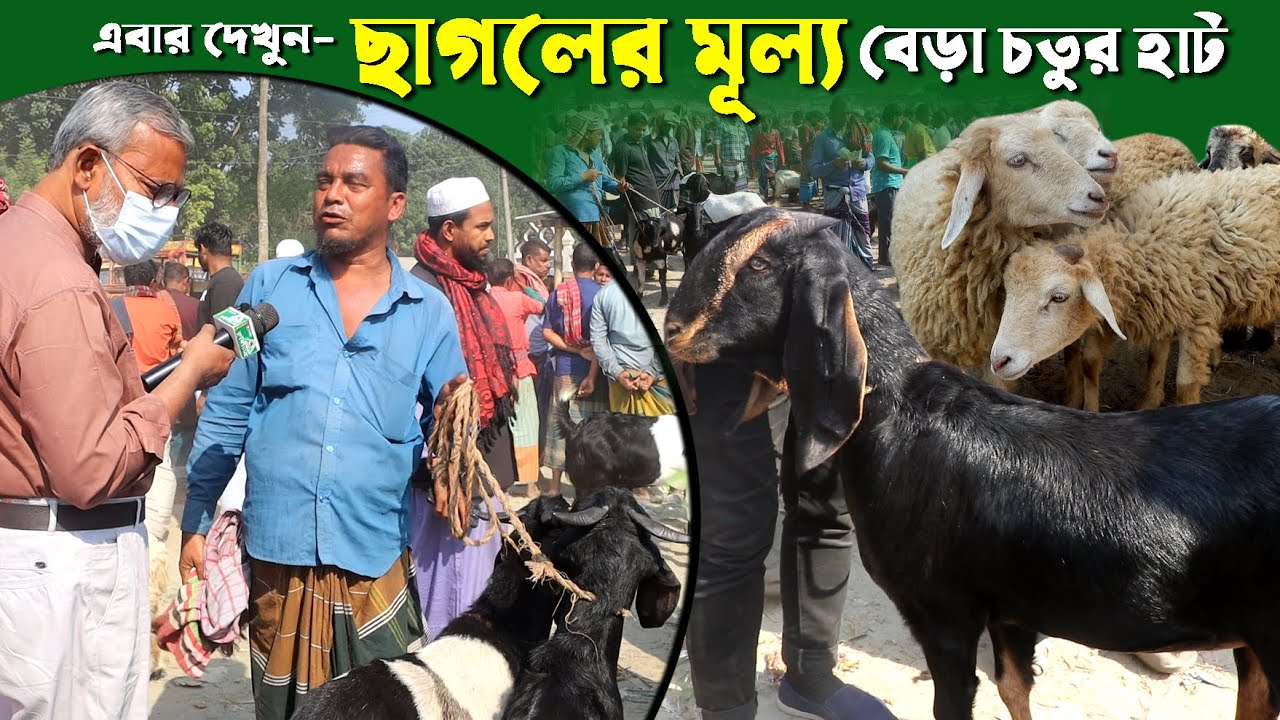 1254 - এবার ছাগলের মূল্য জেনেনিন বেড়া চতুর হাট, পাবনা- র.ই মানিক চিত্রপুরী।  Chitrapuri Krishichitra
