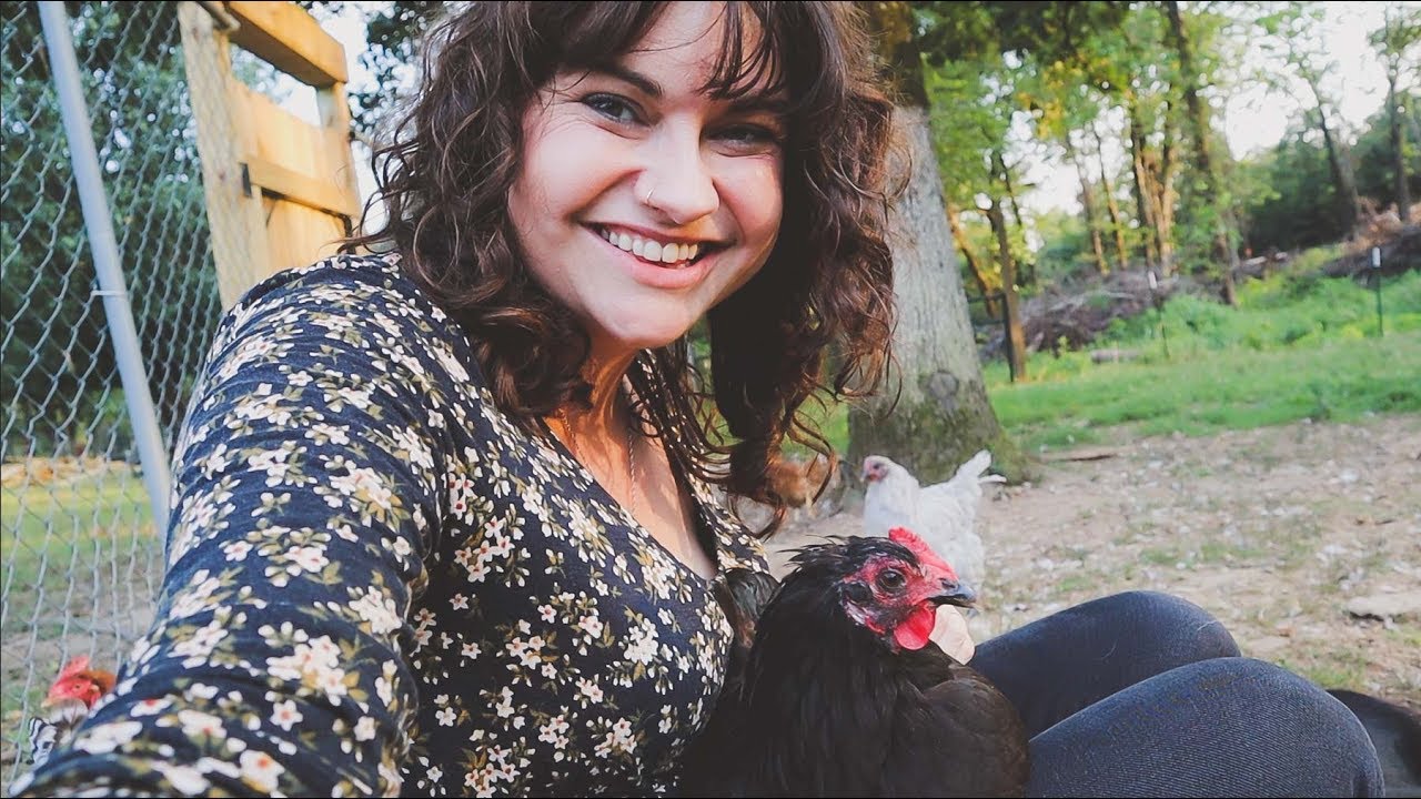 The Chicken Way (And All the Volunteer Sprouts) | VLOG | Roots and Refuge