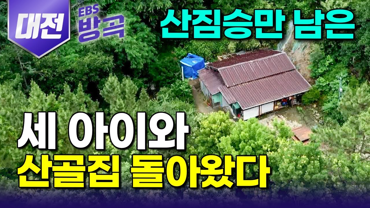 [대전광역시] 