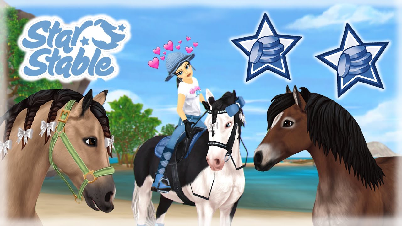 ich kaufe die Gotland-Ponys 🦋💙| SSO Gotland Pony Pferdekauf ✨| Emily Stonepot