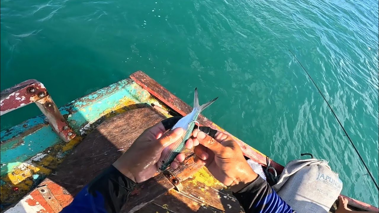 PESCARIA COM ISCA VIVA NO PORTO DOS BARCOS ( DIEGO PESCADOR AMADOR) 