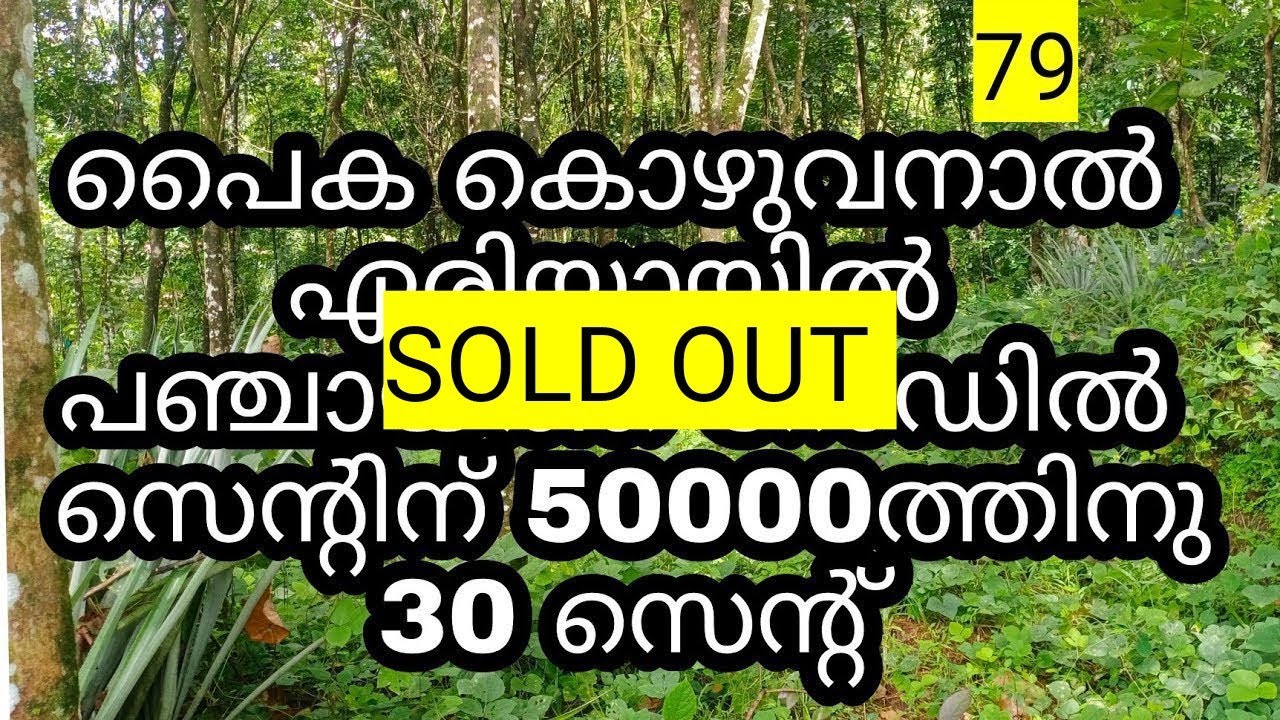 30 cent plot for sale in paika kozhuvanal area #30 #plotforsale #lowcostplot #plots 79