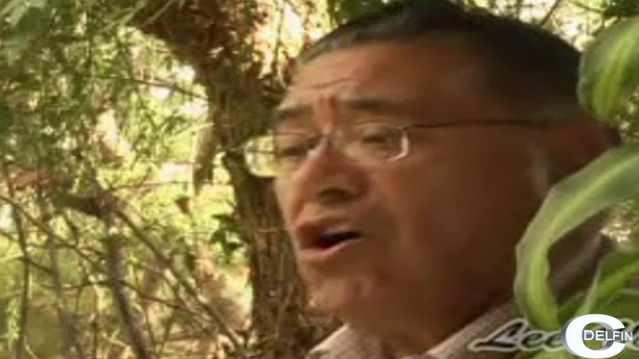 JULIO RODRIGUEZ BERRIOS Y LUIS GUITIERREZ SUS MEJORES CUECAS