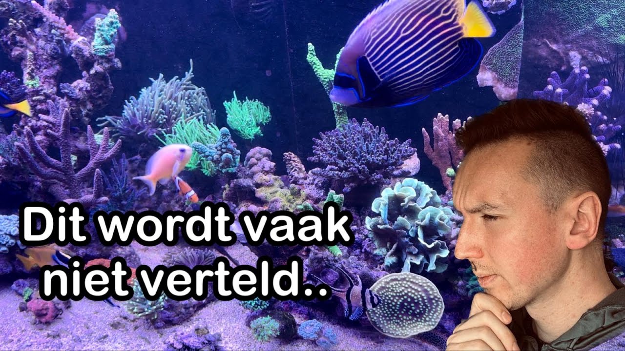 Deze 5 basisprincipes van je Zeeaquarium moeten op orde zijn