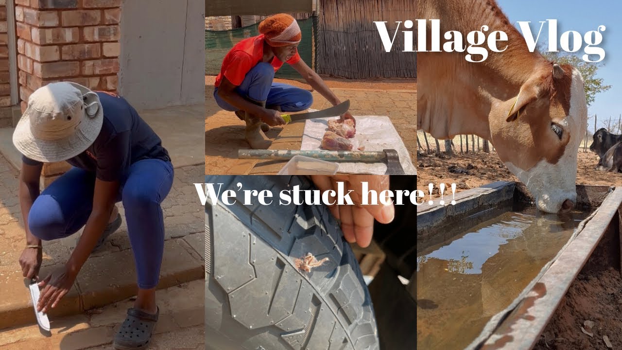Village Vlog | Мы застряли на севере | Намибийский ютубер