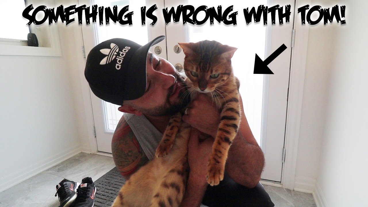 (OMG) Something is Wrong with TOM | The Sargi Family