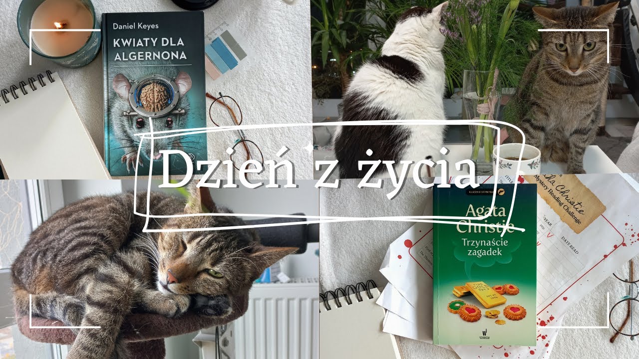 Dzień z życia 📚