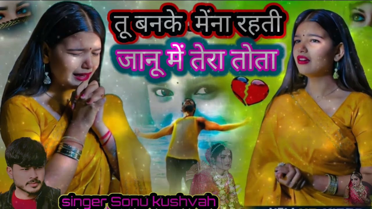 तू बनके मैं ना रहती जानू मैं तेरा तोता tu banke Main Na rahti janu Main Tera tota तू बैठ के डोली 