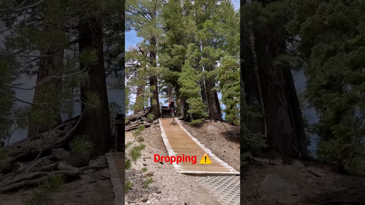 mammoth bike park