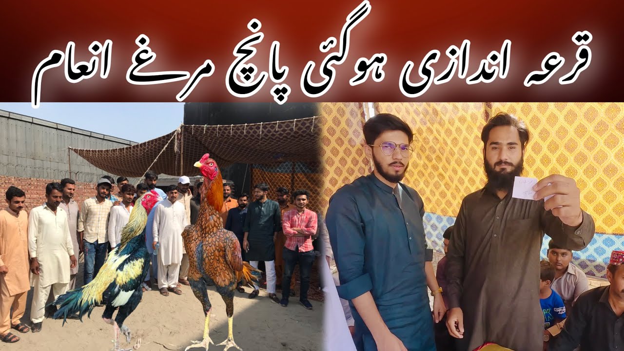 مرغوں کی قرعہ اندازی پانچ انعام