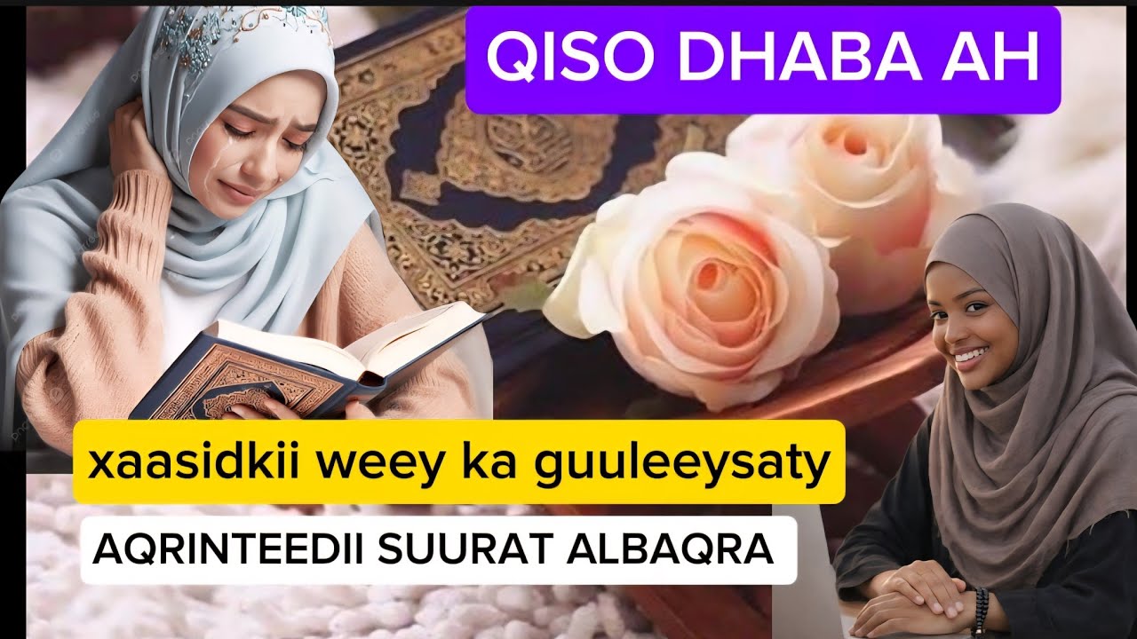 QISO DHAB AH XAASIDKEEDII WEEY KAGA GUULEEYSATAY (ALBAQRA)  0633676748