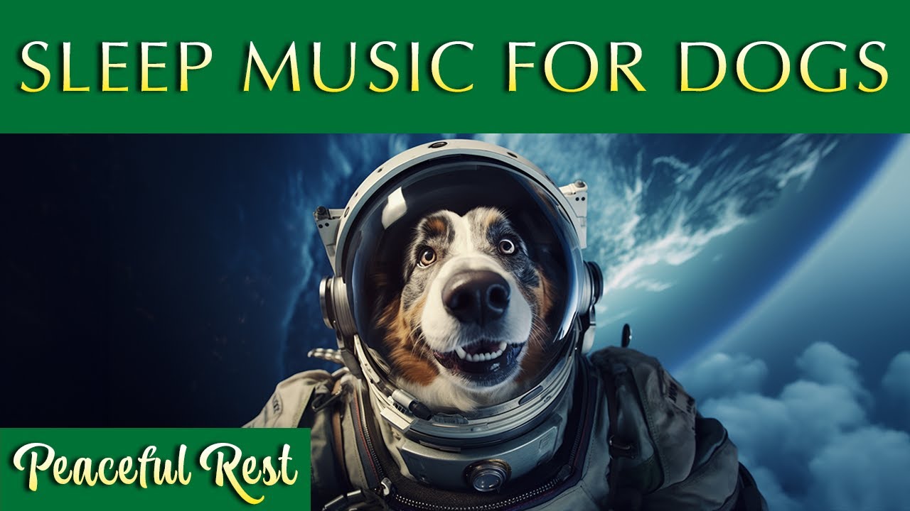 Relaxing Dog Sleep Music 💤🐶 Peaceful Ambience for a Good Night's Rest