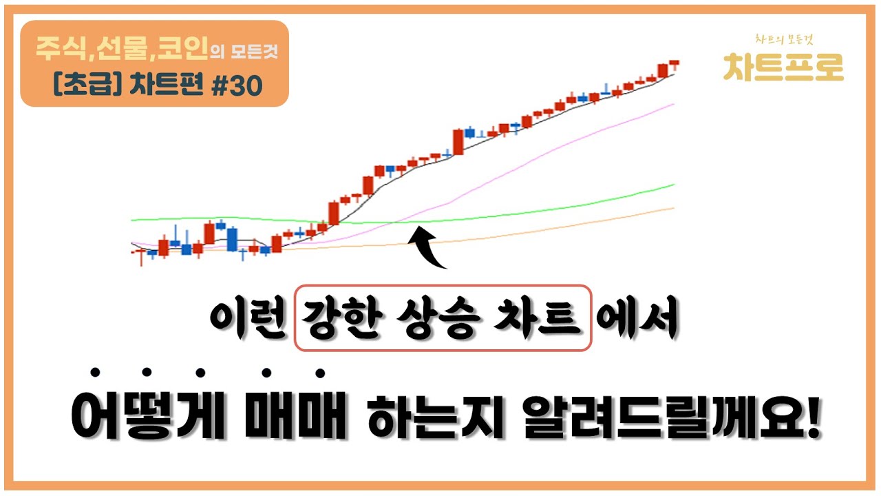 【초급-차트편#30】 