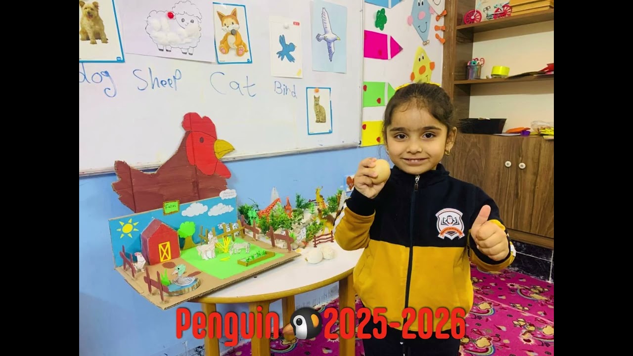 ئەلبومی وێنەکان