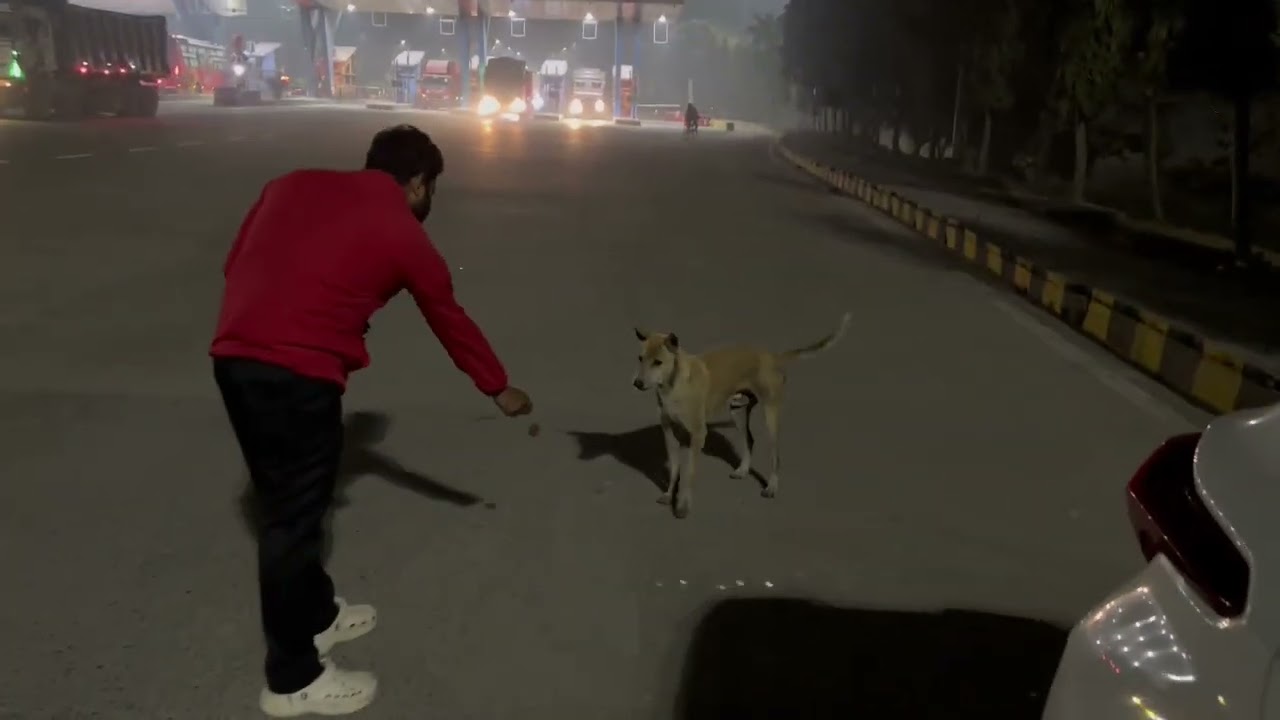 Fun time during Long Drive 