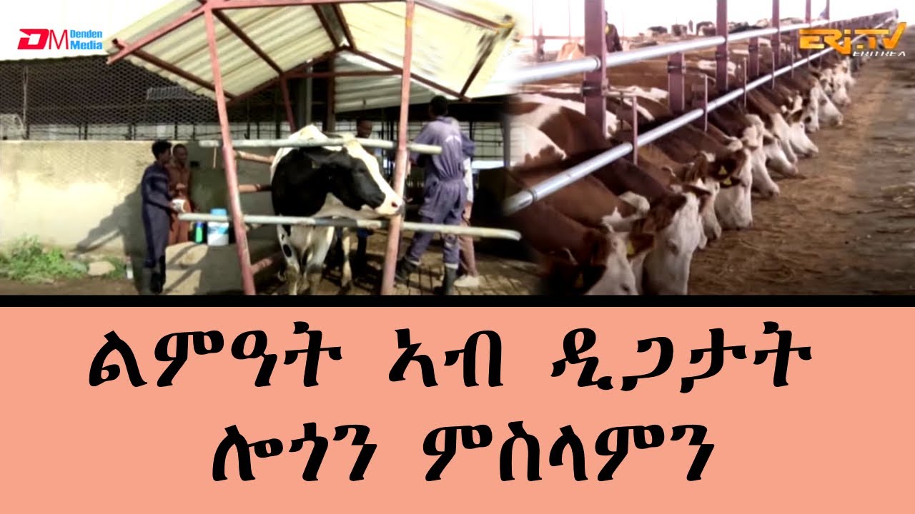 መኣዝን ልምዓት - ልምዓት ኣብ ዲጋታት ሎጎን ምስላምን - 6ይ ክፋል | Development around diga Logo & Misilam Dams - ERi-TV