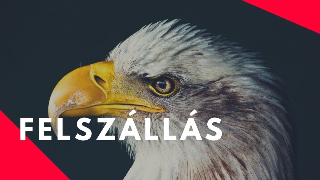 A felszállás napja az életedben - Motivációs videó