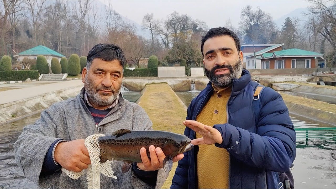 #Trout Fish Farm Inside #Dachigam National Park  | Trout #Breeding In #Kashmir | Dachigam Chapter 2