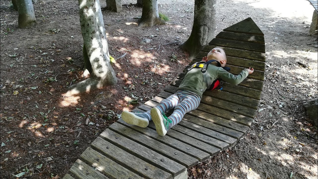 Bavorsk&yacute; les Ludwigsthal: Nationalparkzentrum Falkenstein