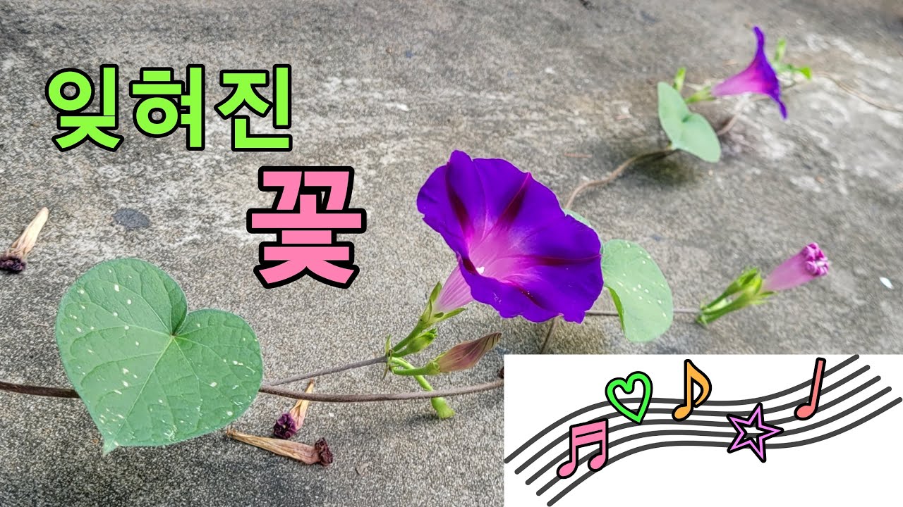 잊혀진 꽃