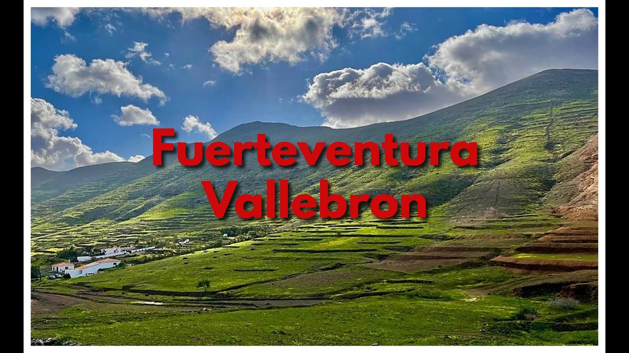 Fuerteventura Vallebron la natura esplode