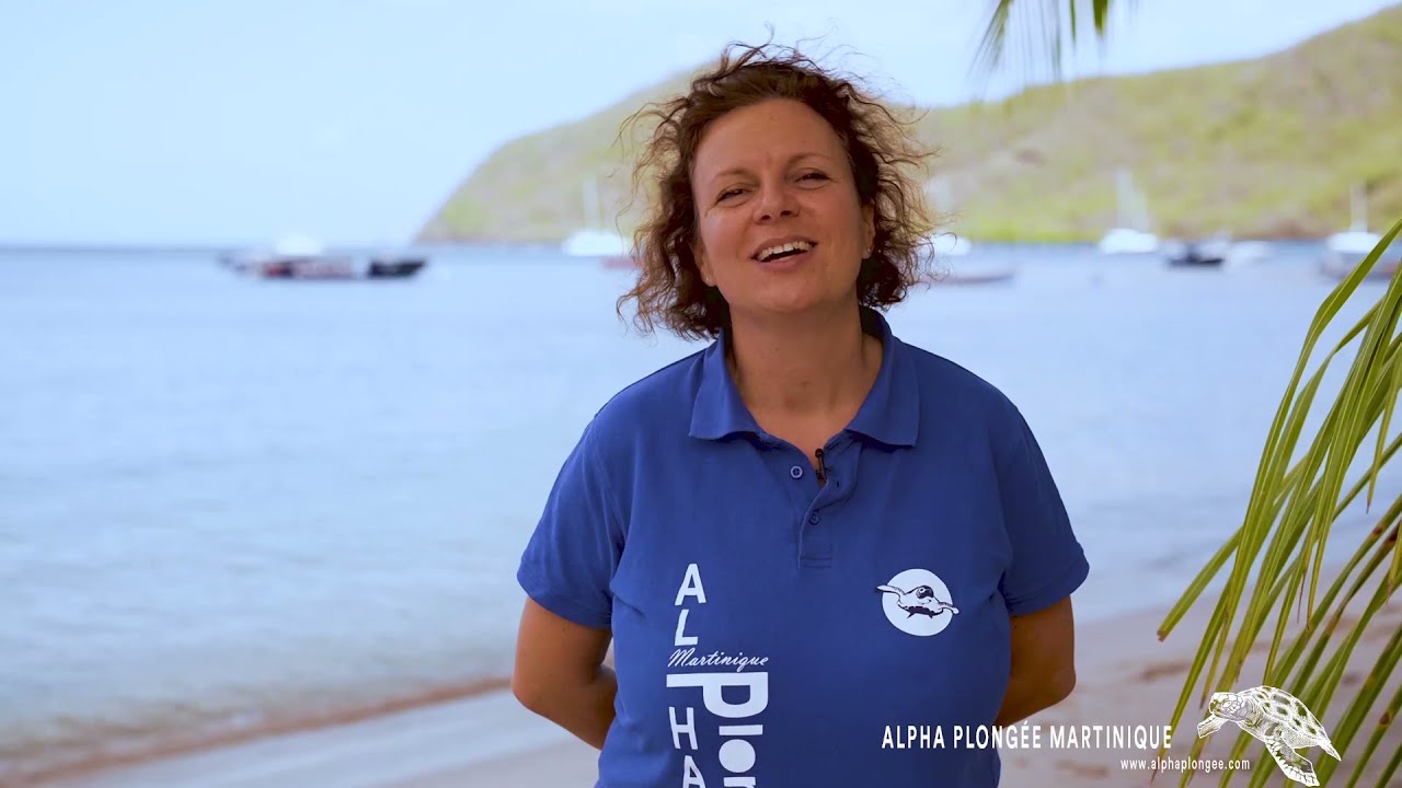 Le baptême de plongée avec Alpha Plongée Martinique