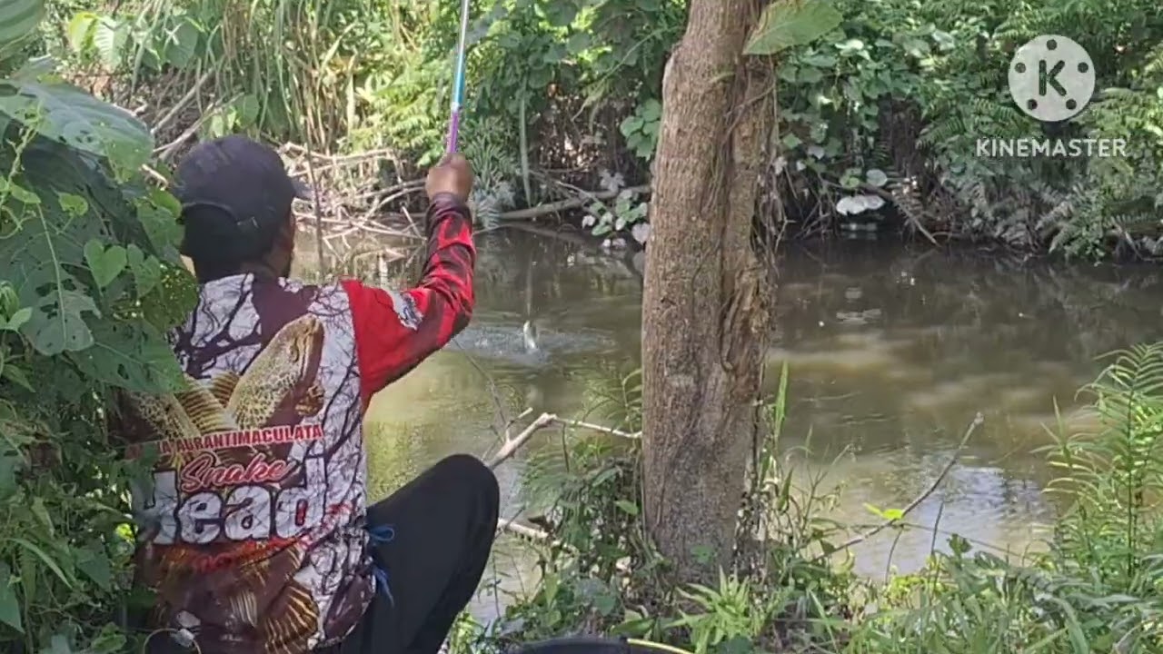 Sungai yang sudah mati, ada banyak ikan nilanya 