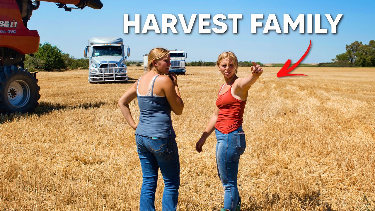 Working as a Family on Harvest | Brad Befort Harvesting