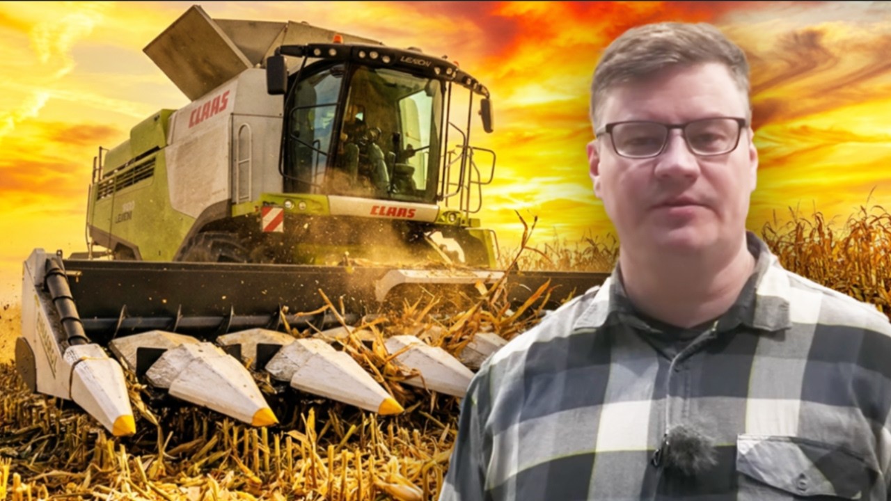 Claas na gąsienicach 👉 zbiór kukurydzy 12-rzędową przystawką  #rolnictwo #kombajn