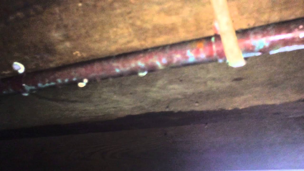 Dripping pipes in a REALLY wet basement.