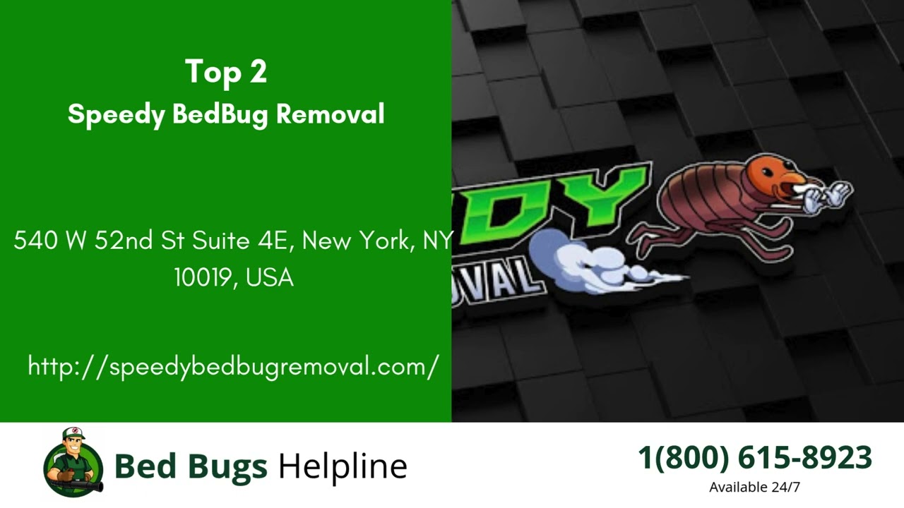 Top 3 Bed Bug Removal Companies in Scarborough