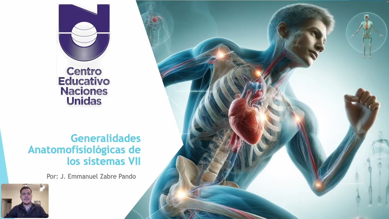 Anatomofisiología Cardiovascular I
