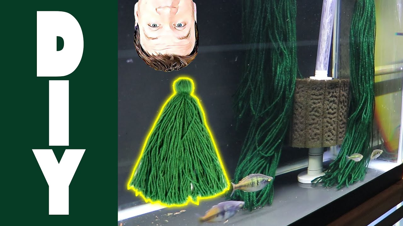 DIY Spawning Mop - Whats it for and Why? Fish Breeding made Easier