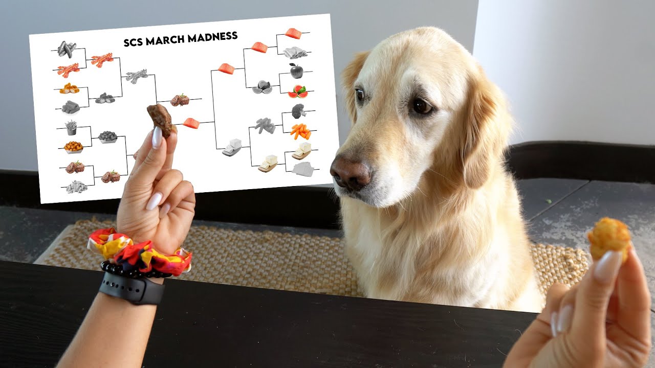 DOG SNACK MARCH MADNESS!