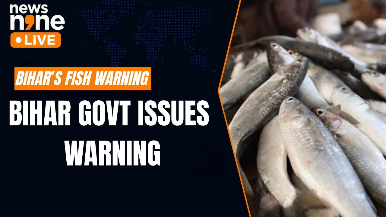 Bihar Fish Warning After Nepal Floods: Govt Issues Public Advisory | News9