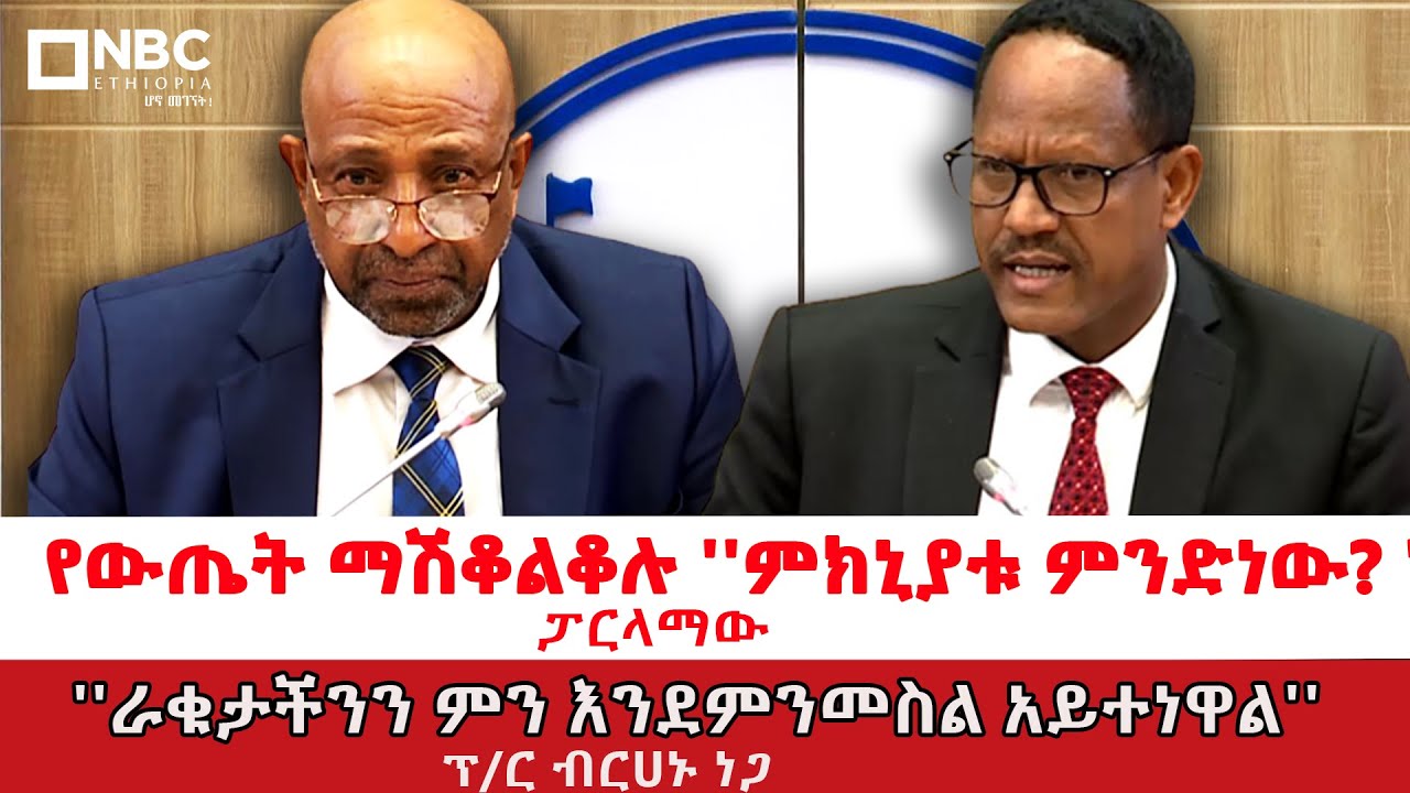 ፕ/ር ብርሃኑ ነጋ ለተነሱ ጥያቄዎች የሰጡት ምላሽ! @NBCETHIOPIA